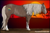 Horse Color:Silver Black Sabino Rabicano 