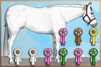 Horse Color:Bay Dun Splash Tobiano Frame 