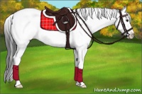 Horse Color:Brown Sabino Snowcap 
