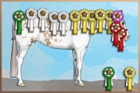 Horse Color:Bay Dun Sabino Varnish