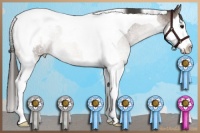 Horse Color:Buckskin Roan Splash Tobiano Appaloosa Rabicano