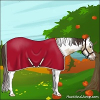 Horse Color:White Spotted Bay Dun Tobiano Frame Appaloosa 