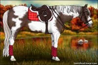 Horse Color:Silver Brown Tobiano Frame
