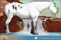 Horse Color:White Spotted Liver Chestnut Splash Varnish 