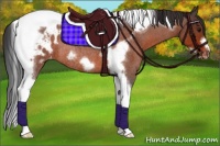 Horse Color:Bay Roan Tobiano Frame Blanket Rabicano 