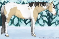 Horse Color:Buckskin Dun Splash Tobiano