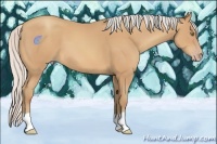 Horse Color:Silver Amber Champagne