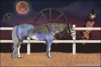 Horse Color:Nacre Liver Chestnut Sabino 