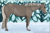 Horse Color:Silver Smoky Black Rabicano 