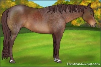 Horse Color:Chocolate Brown 