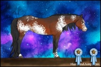 Horse Color:White Spotted Bay Varnish 