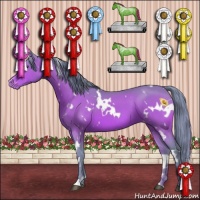 Horse Color:Watercolor White Spotted Bay Appaloosa 