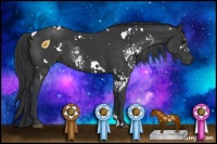 Horse Color:White Spotted Black