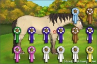 Horse Color:Amber Champagne Dun 
