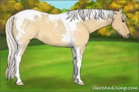 Horse Color:Silver Buckskin Dun Tobiano 