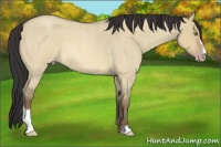 Horse Color:Sable Champagne Roan Dun Sabino