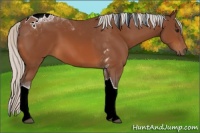 Horse Color:Silver Bay Tobiano