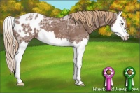 Horse Color:Chestnut Ice Splash Appaloosa 