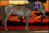 Horse Color:Liver Chestnut Rabicano 