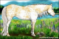 Horse Color:White Spotted Silver Classic Champagne Dun Splash Frame 