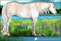 Horse Color:White Spotted Silver Classic Champagne Dun Splash Frame 