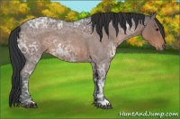 Horse Color:Brown Ice Roan 