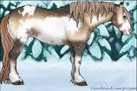 Horse Color:Chocolate Palomino Onyx Frame Snowflake Varnish