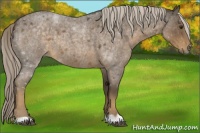 Horse Color:Chocolate Palomino Roan 