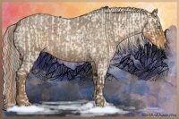 Horse Color:Cremello Roan and Chocolate Palomino Roan