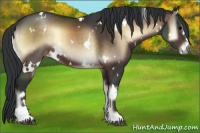 Horse Color:White Spotted Brown Onyx Sabino