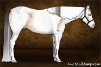 Horse Color:White Spotted Buckskin Splash Tobiano