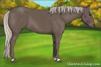 Horse Color:Silver Black 