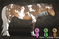 Horse Color:White Spotted Silver Buckskin 