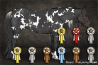 Horse Color:White Spotted Smoky Black