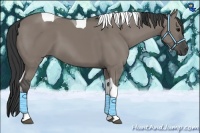 Horse Color:Grullo Tobiano
