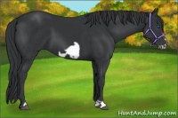Horse Color:Black Frame