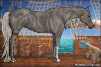 Horse Color:Silver Black 