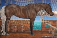 Horse Color:Silver Bay 