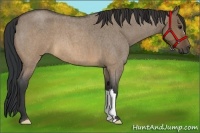 Horse Color:Brown Roan Dun 