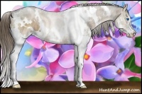 Horse Color:White Spotted Liver Chestnut Ice Splash 