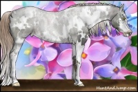 Horse Color:White Spotted Liver Chestnut Ice Sabino 