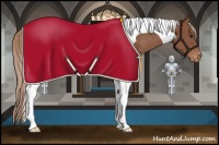 Horse Color:Chestnut Tobiano Appaloosa Rabicano 