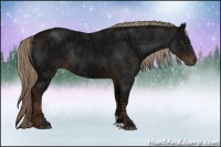 Horse Color:Liver Chestnut Ice Rabicano 