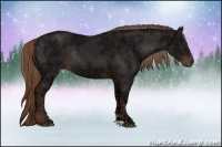 Horse Color:Liver Chestnut Ice Rabicano 