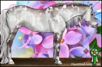 Horse Color:White Spotted Chocolate Silver Blue Onyx Chinchilla Brindle 