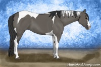 Horse Color:Grullo Splash Tobiano