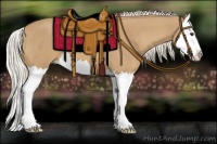 Horse Color:Palomino Splash 