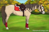 Horse Color:Amber Cream Champagne Splash 
