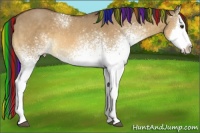Horse Color:Painted White Spotted Buckskin Dun Splash
