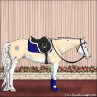 Horse Color:Silver Amber Cream Champagne Dun Splash 